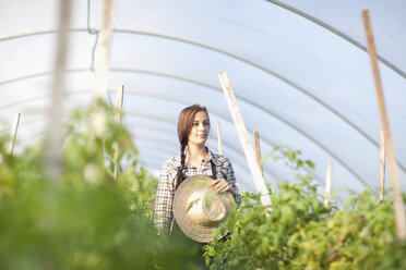 Young woman in vegetable greenhouse - CUF40147