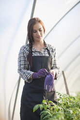 Junge Frau zieht Gartenhandschuhe an - CUF40148