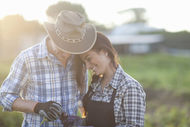 Young couple looking at vegetables on farm - CUF40152