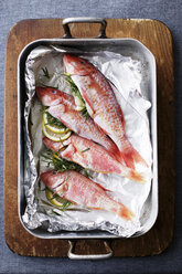 Pan of mullet fish with lemon and herbs - CUF40251