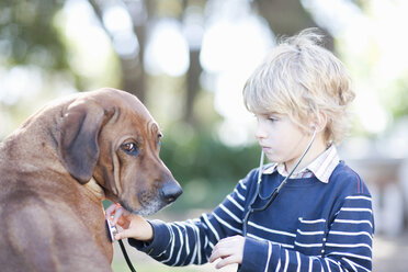 Junge benutzt Stethoskop bei Haushund - CUF40592