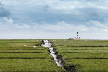 Field with distant lighthouse, Schleswig Holstein, Germany - CUF40925
