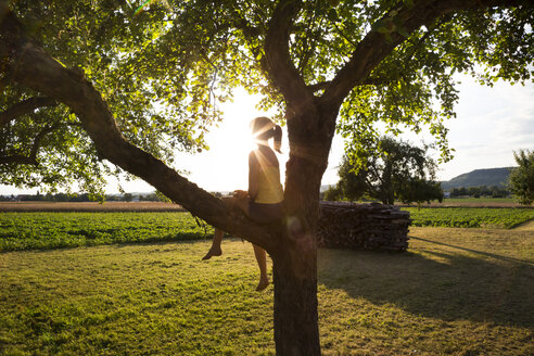 Silhouette eines Mädchens, das im Sommer bei Gegenlicht auf einem Baum sitzt - LVF07255