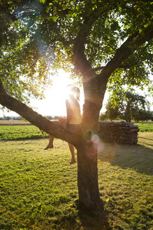 Silhouette eines Mädchens, das im Sommer bei Gegenlicht auf einem Baum sitzt - LVF07256