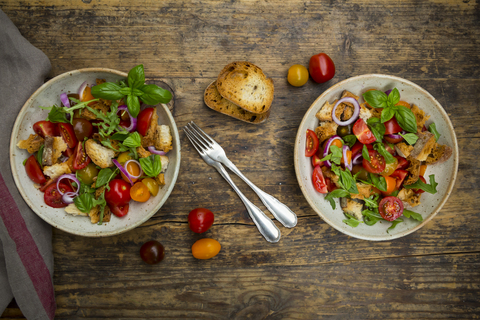 Panzanella aus geröstetem Ciabatta, Rucola, roten Zwiebeln, Tomaten und Basilikum, lizenzfreies Stockfoto