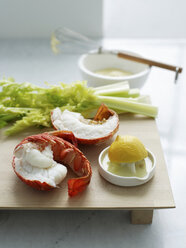 Fresh lobster - CUF41145