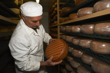 Portrait of cheese maker carrying hard cheeses - Stock Image - F023/1666 -  Science Photo Library