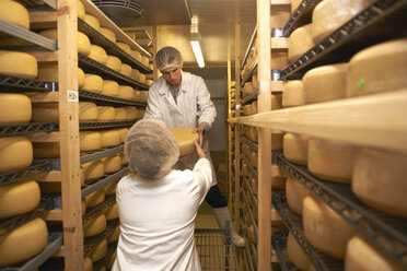 Portrait of cheese maker carrying hard cheeses - Stock Image - F023/1666 -  Science Photo Library