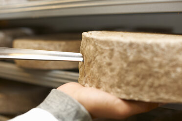 Portrait of cheese maker carrying hard cheeses - Stock Image - F023/1666 -  Science Photo Library