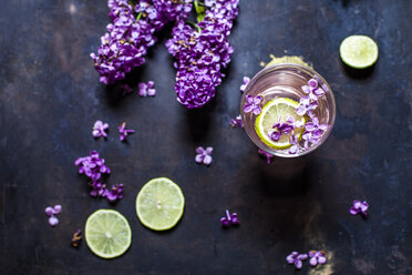 Ein Glas hausgemachte Fliederlimonade mit Limettenspalten - SBDF03658