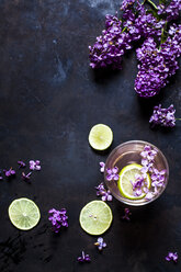 Ein Glas hausgemachte Fliederlimonade mit Limettenspalten - SBDF03659