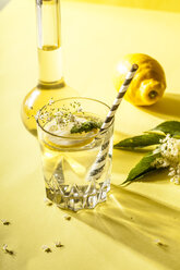 Glass of homemade organic elder lemonade with slice of lemon - SBDF03660