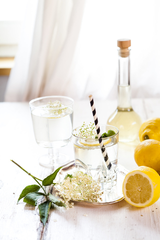 Ein Glas hausgemachte Holunderlimonade mit einer Zitronenscheibe, lizenzfreies Stockfoto