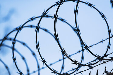 Barbed wire fence - CUF41815