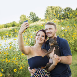 Ein Paar spielt mit seinem kleinen Hund im Park und macht ein Selfie. - MINF00009