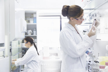 Biologiestudenten bei der Arbeit im Labor - CUF42136