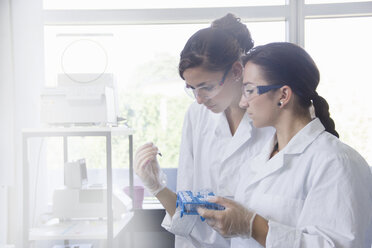 Biologiestudenten bei der Arbeit im Labor - CUF42137