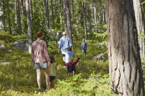 Familie wandert durch den Wald, lizenzfreies Stockfoto