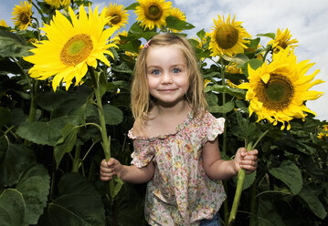 Mädchen hält Sonnenblumen auf einem Feld, Halesworth, Suffolk, England, UK - CUF42732