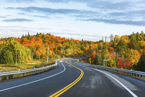 Kanada, Ontario, Hauptstraße durch bunte Bäume im Algonquin Parkgebiet - WPEF00706