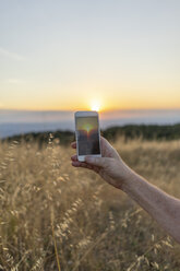 Spain, Catalonia, Hand taking pictures of meadow on Montserrat at sunset - AFVF00797