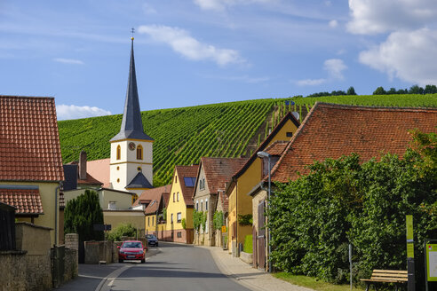 Deutschland, Bayern, Franken, Escherndorf bei Volkach - SIEF07829