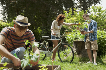 Freunde bei der Gartenarbeit, Frau mit Fahrrad - CUF43079