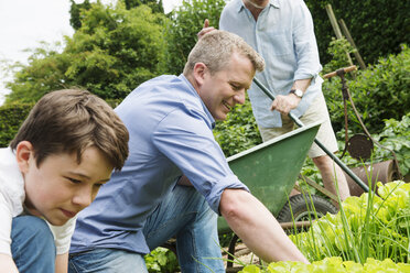 Father and son gardening - CUF43106