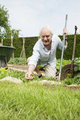 Älterer Mann bei der Gartenarbeit - CUF43108