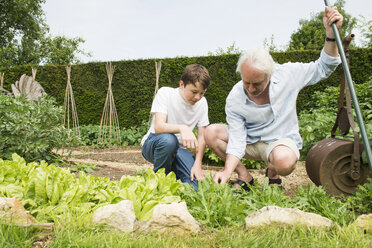 Großvater und Enkel bei der Gartenarbeit - CUF43109