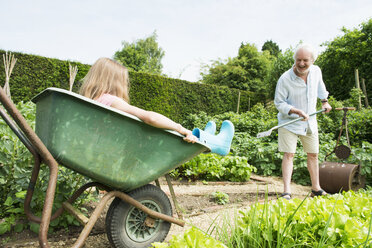 Girl sitting in wheelbarrow, grandfather gardening - CUF43111