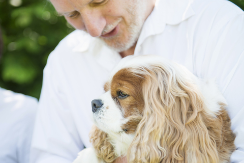 Älterer Mann mit Haushund, lizenzfreies Stockfoto