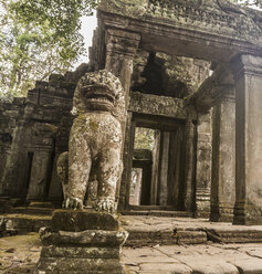 Ruinen des Preah-Khan-Tempels, Angkor, Kambodscha - CUF43284