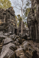 Ruinen des Ta Nei-Tempels, Angkor-Komplex, Kambodscha - CUF43287