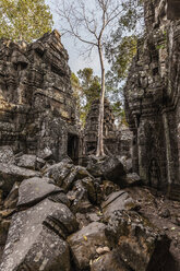 Ta Nei Temple Ruins, Angkor Complex, Cambodia - CUF43287
