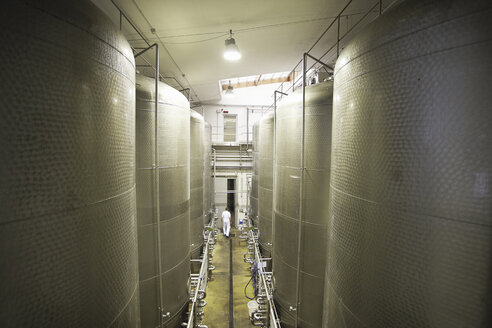 Große Tanks in einer Brauerei - CUF43327