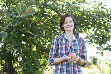 Eine Frau in einem karierten Hemd hält einen großen, frisch gepflückten Apfel im Obstgarten eines Bio-Obsthofs. - MINF00076