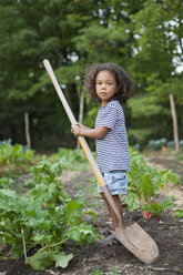 Ein junger afroamerikanischer Junge, der in einem Bio-Gemüsegarten arbeitet, hält eine lange Handfläche. - MINF00079