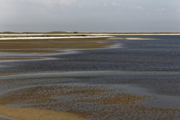 Germany, North Frisia, Sylt, Wadden sea near List - GFF01078