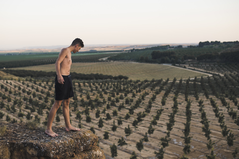 Junger Mann steht auf einem Felsen und blickt auf die Felder, lizenzfreies Stockfoto