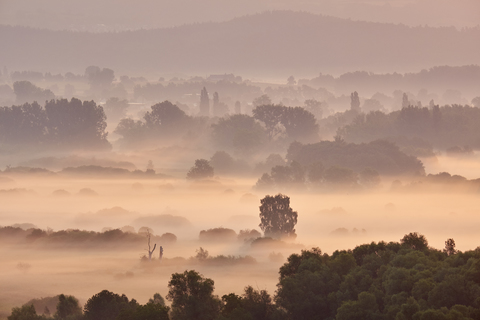 Deutschland, Baden-Württemberg, Landkreis Konstanz, Blick auf die Radolfzeller Aach am Morgen bei Nebel, lizenzfreies Stockfoto