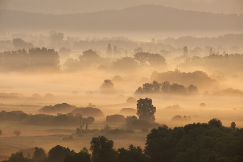 Deutschland, Baden-Württemberg, Landkreis Konstanz, Blick auf die Radolfzeller Aach am Morgen bei Nebel - ELF01891