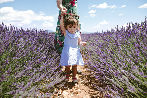 Frankreich, Provence, Hochebene von Valensole, Mutter und Tochter spazieren zwischen Lavendelfeldern im Sommer - GEMF02121