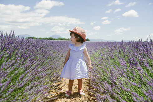 Frankreich, Provence, Hochebene von Valensole, kleines Mädchen in lila Lavendelfeldern im Sommer - GEMF02129