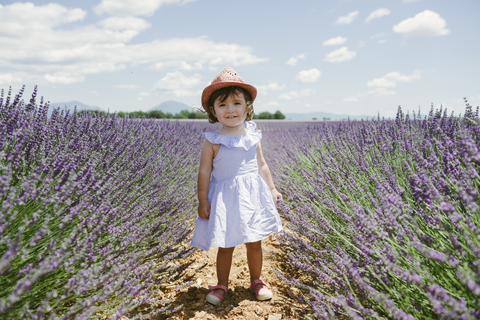 France, Provence, Valensole plateau, Happy toddler girl standing in purple lavender fields in the summer stock photo