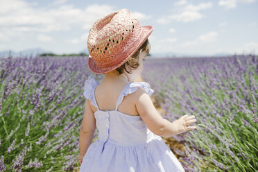 France, Provence, Valensole plateau, rear view of toddler girl standing in purple lavender fields in the summer - GEMF02133