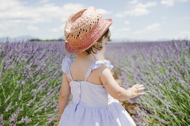 Frankreich, Provence, Hochebene von Valensole, Rückansicht eines kleinen Mädchens in lila Lavendelfeldern im Sommer - GEMF02133