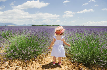 France, Provence, Valensole plateau, rear view of toddler girl standing in purple lavender fields in the summer - GEMF02138