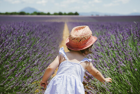 Frankreich, Provence, Hochebene von Valensole, Rückansicht eines kleinen Mädchens in lila Lavendelfeldern im Sommer - GEMF02139
