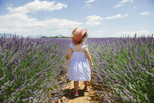Frankreich, Provence, Plateau von Valensole, Rückansicht eines kleinen Mädchens in lila Lavendelfeldern im Sommer - GEMF02141